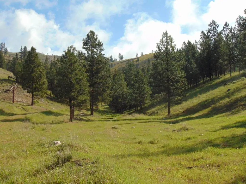 27235 Lazy Springs Road, Clinton, MT 59825 - #1