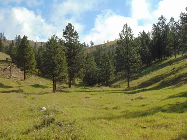 27235 Lazy Springs Road, Clinton, MT 59825