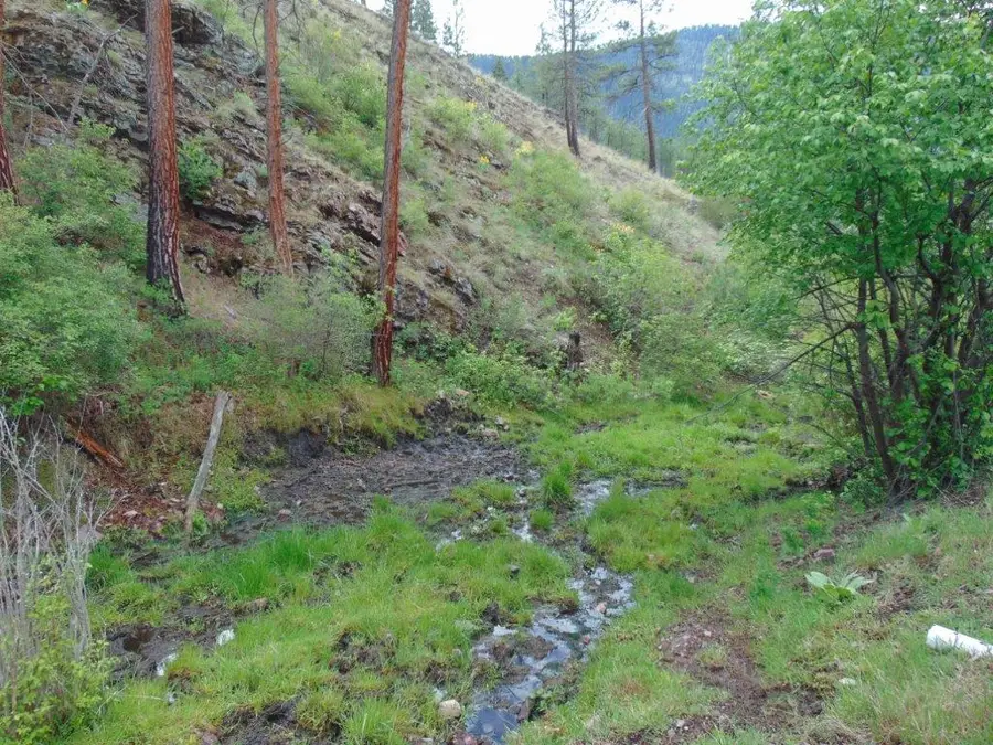 27235 Lazy Springs Road, Clinton, MT 59825 - #2