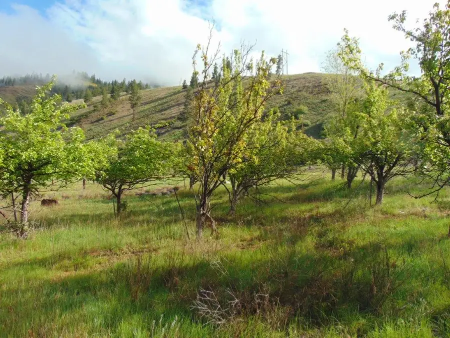27235 Lazy Springs Road, Clinton, MT 59825 - #3