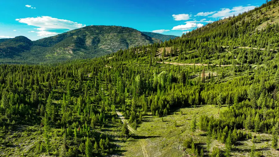 Nhn Houghton Creek Road, Libby, MT 59923 - Image #3