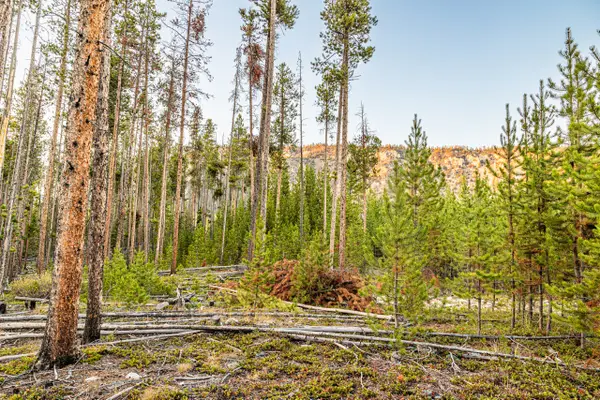 Lot 2 TBD Harris Road, Anaconda, MT 59711