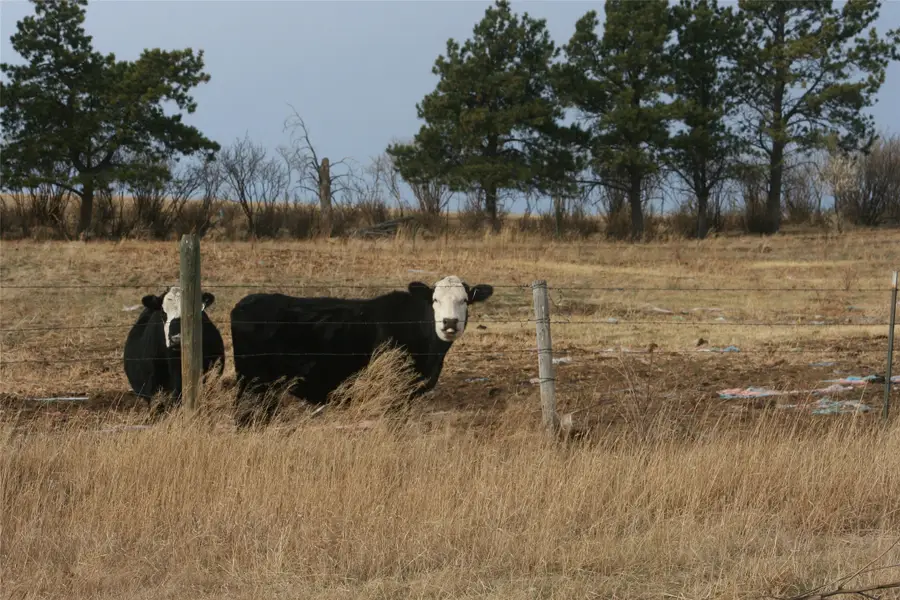 981 Cora Creek Road, Raynesford, MT 59469 - Image #3