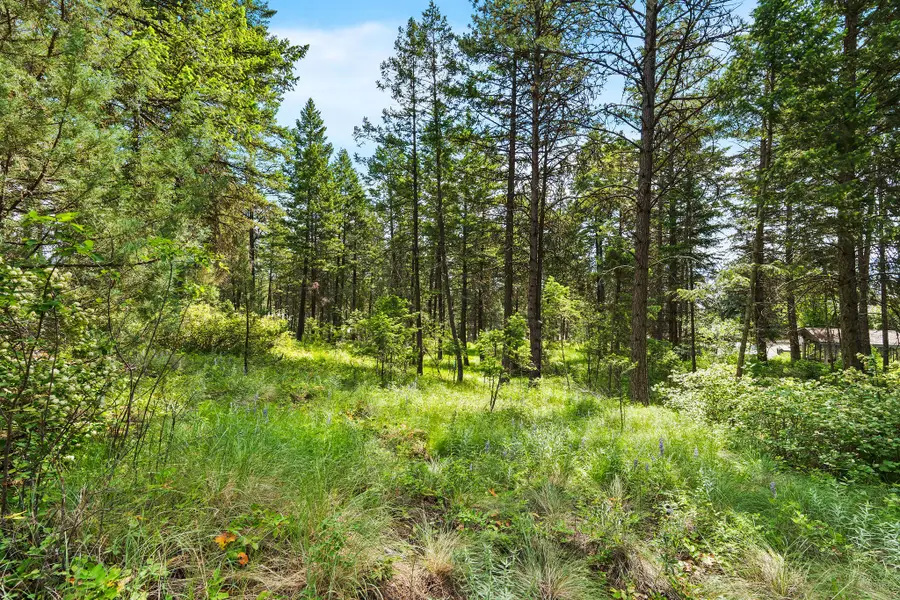 111 Grandview Terrace, Lakeside, MT 59922 - Image #3