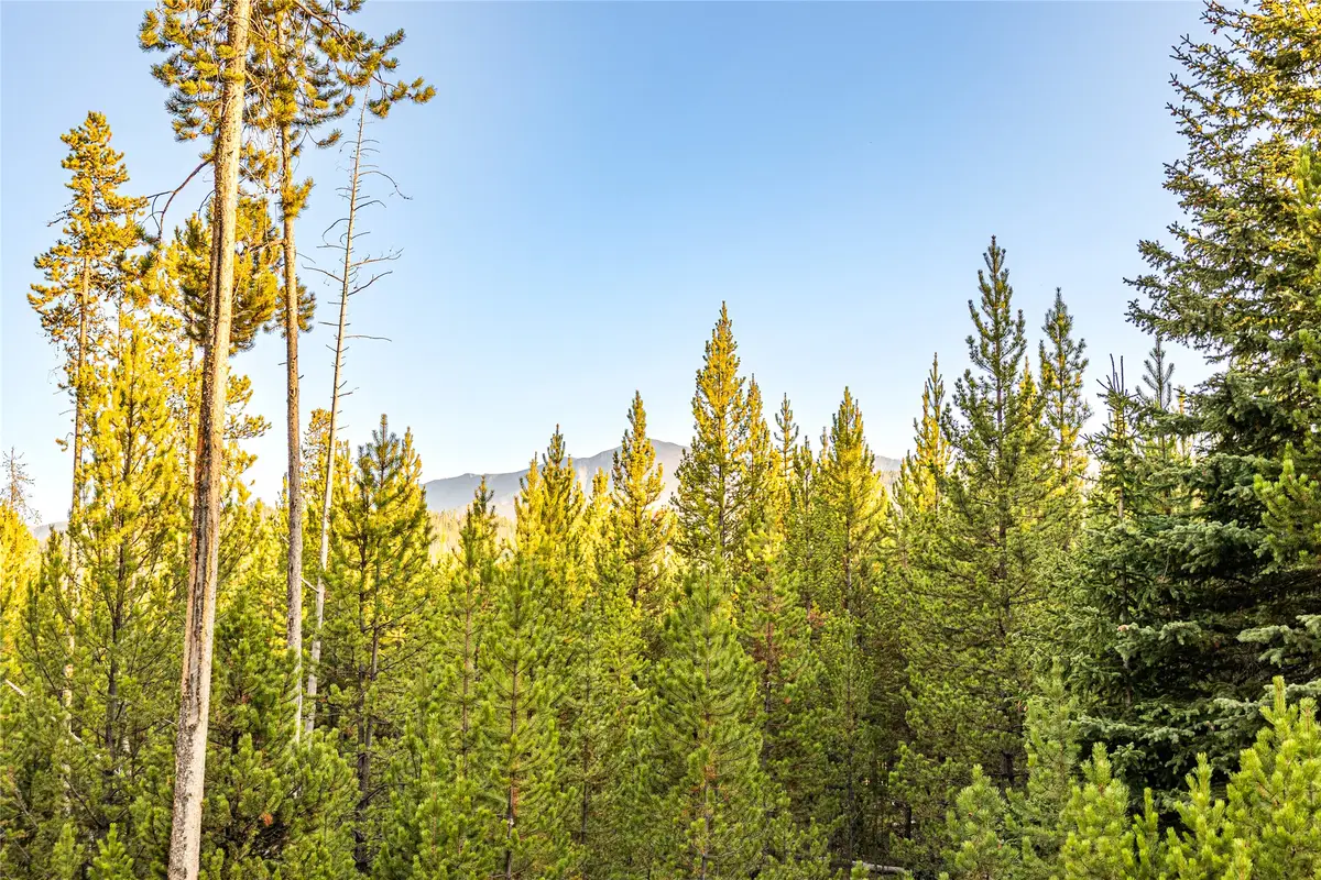 Lot 10 TBD Harris Road, Anaconda, MT 59711 - Image #1