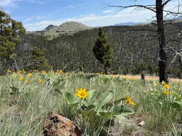 TBD (40.1 +/- Ac) High Ore Road, Boulder, MT 59632
