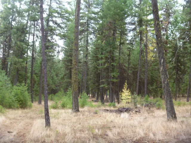 TBD  tract 35A High Country Road, Plains, MT 59859 - Image #2