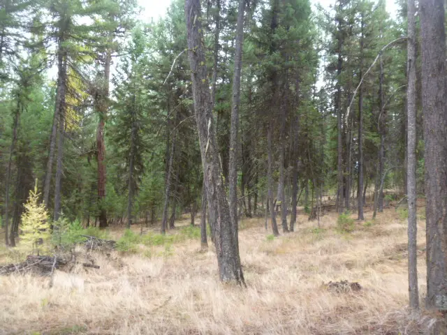 TBD  tract 35A High Country Road, Plains, MT 59859 - Image #3