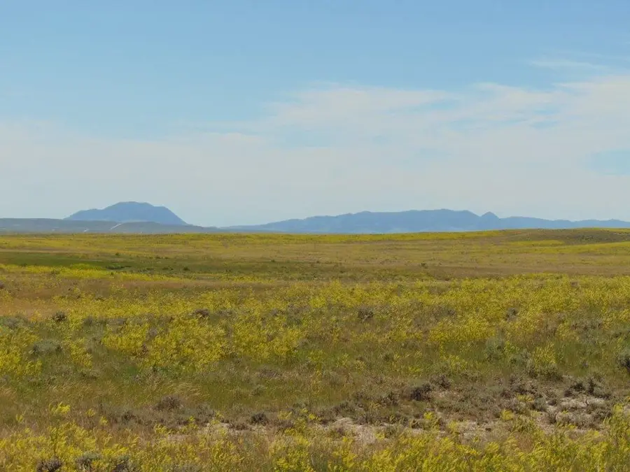 TBD Wilder Trail, Lewistown, MT 59457 - Image #2