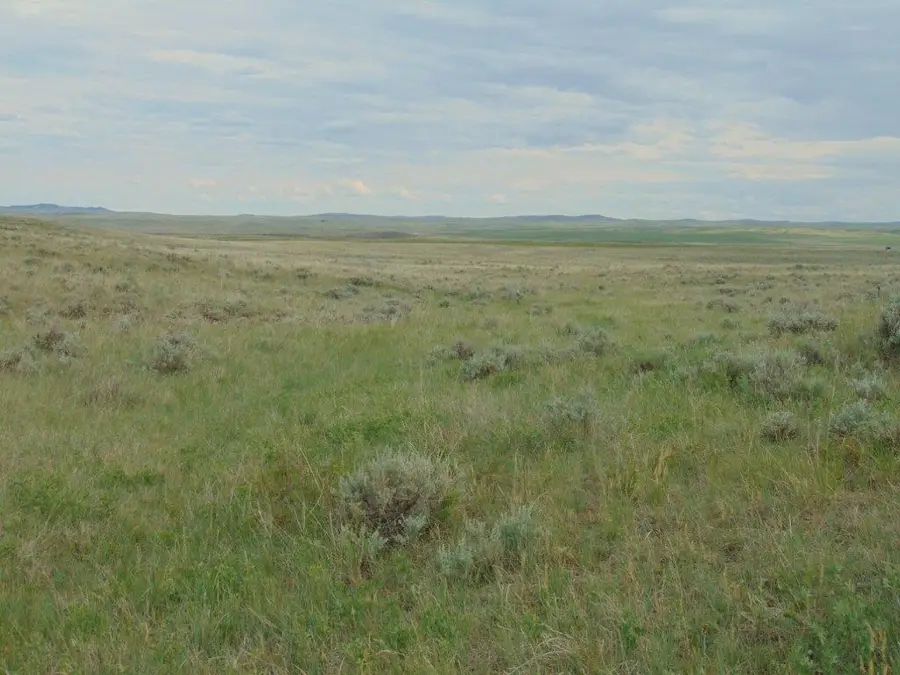 TBD Wilder Trail, Lewistown, MT 59457 - Image #3