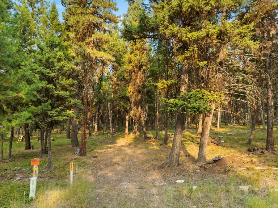 264 Evergreen Drive, Seeley Lake, MT 59868 - Image #2