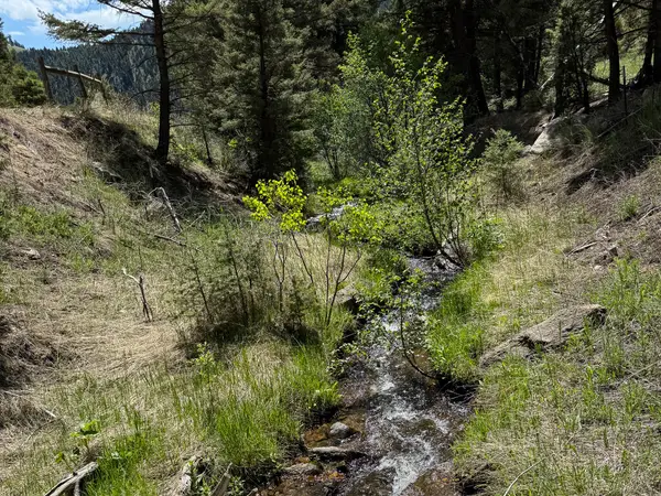 TBD  (12.7 +/- Acres) High Ore Road, Boulder, MT 59632