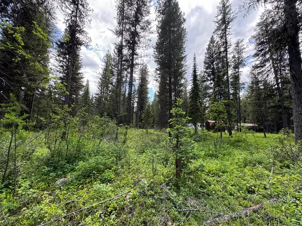 768 Deep Woods Trail, Polebridge, MT 59928