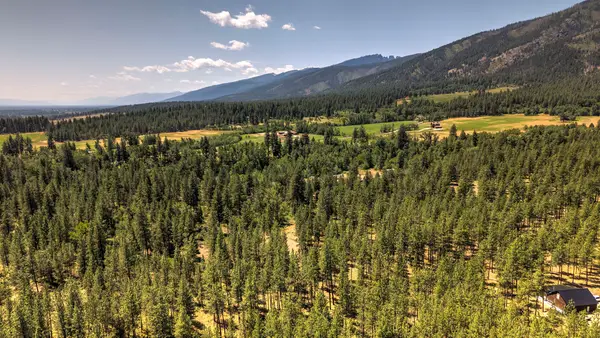 NHN Holloway Lane, Florence, MT 59833