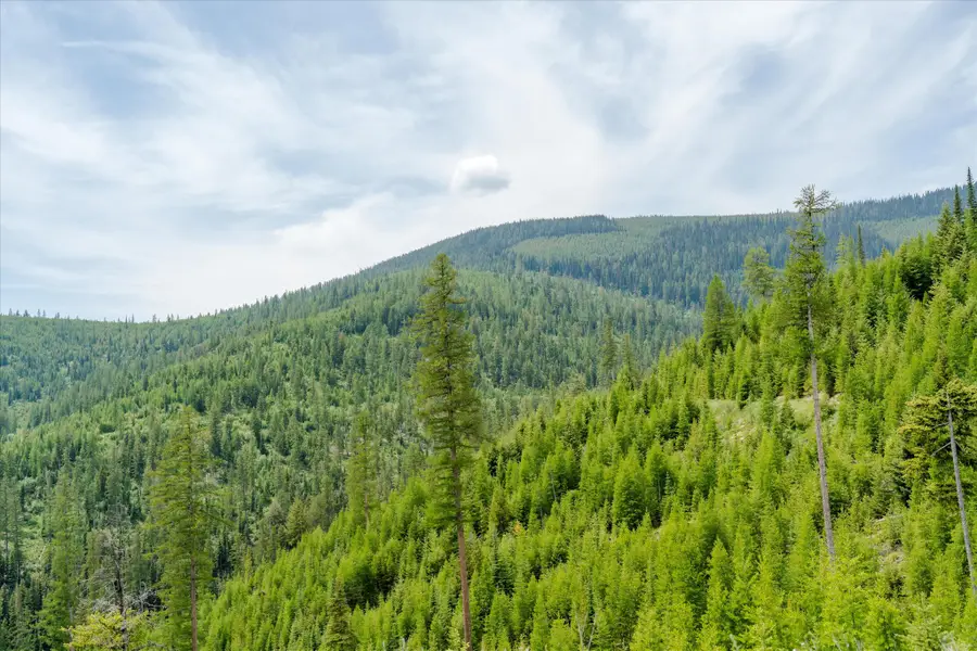 Nhn Fish Creek Road, Kalispell, MT 59901 - Image #3