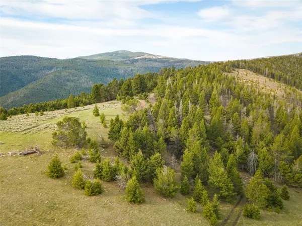 TBD (58+/- Acres) Ottawa Gulch Road, Canyon Creek, MT 59633