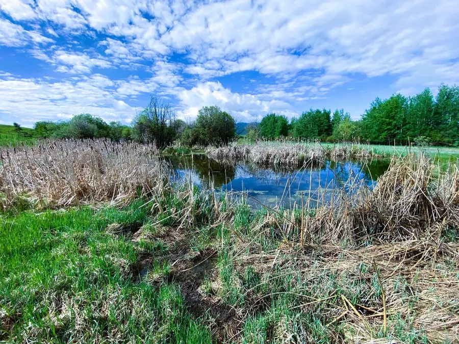 206 Kilburn Lane, Ovando, MT 59854 - Image #2