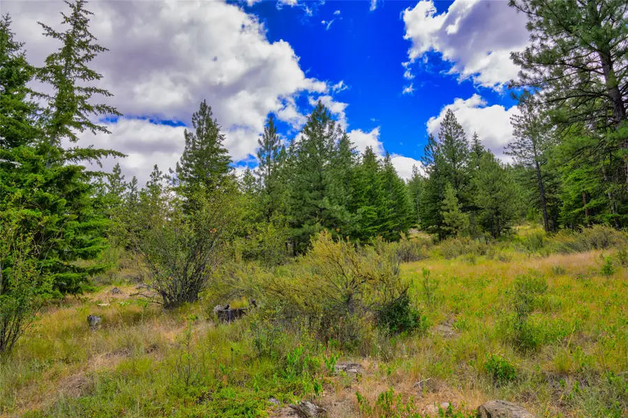 Lot 6 Bighorn Bluff Road, Plains, MT 59859 - Image #2