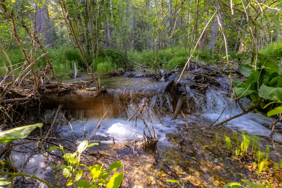 NHN Trumble Canyon Road, Columbia Falls, MT 59912 - Image #2
