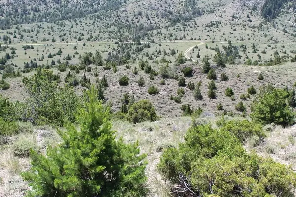 TBD Red Wing Lode Ms 3180 & Elgin Lode Ms 3181, Radersburg, MT 59641