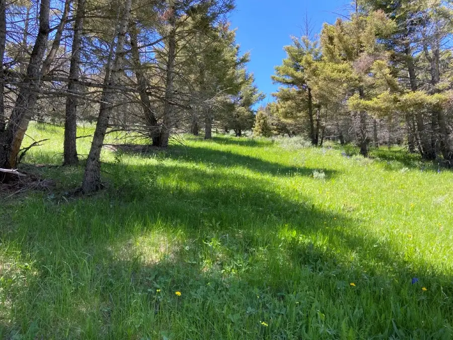 2544 North Camp Creek Road, Melrose, MT 59743 - Image #3