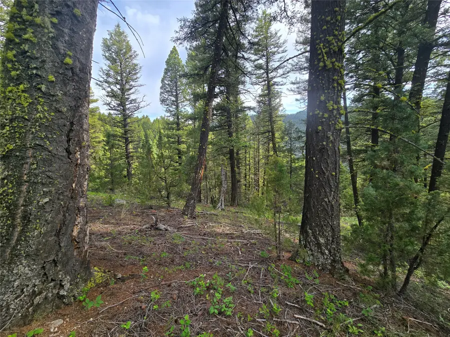 # Johnson Quarta Lode, Philipsburg, MT 59858 - Image #2