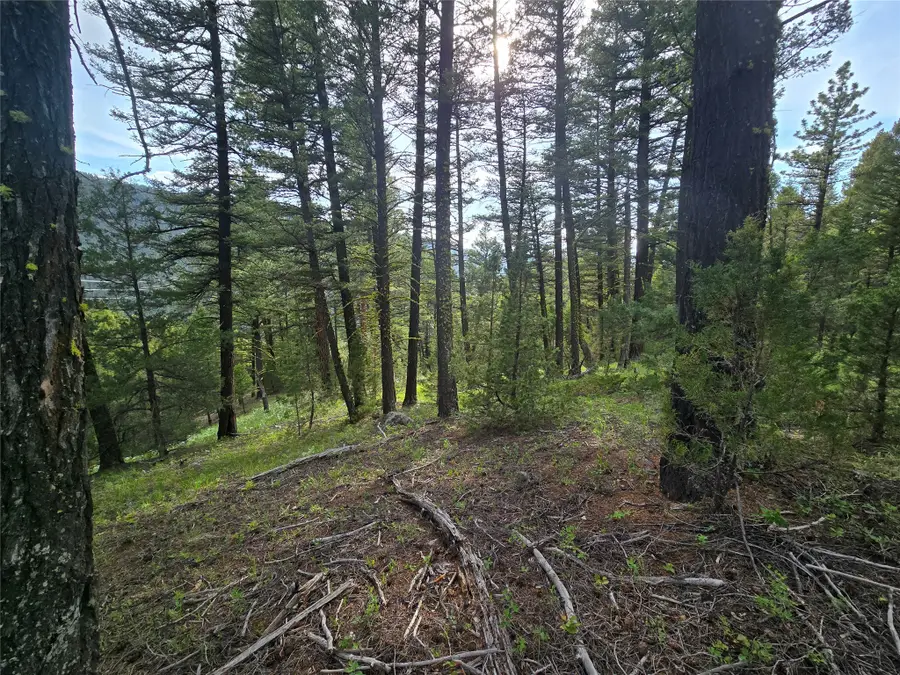 # Johnson Quarta Lode, Philipsburg, MT 59858 - Image #3