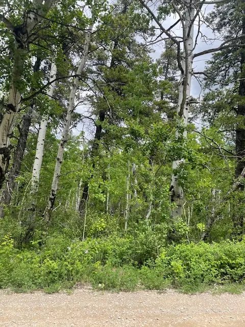 105 Heart Butte Cutoff, East Glacier Park, MT 59434 - Image #3
