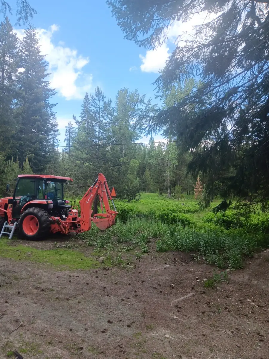 763 Upper Cotton Lane, De Borgia, MT 59830 - Image #3