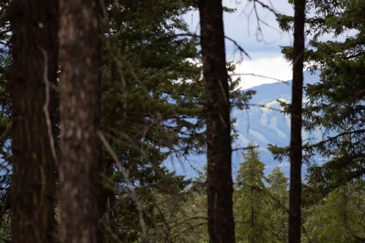 149 Rosewood Lane #Lot 8, Whitefish, MT 59937 - Image #1