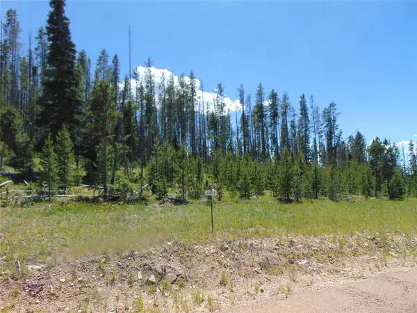 Nhn Silvantite Lane #Lot 3, Anaconda, MT 59711