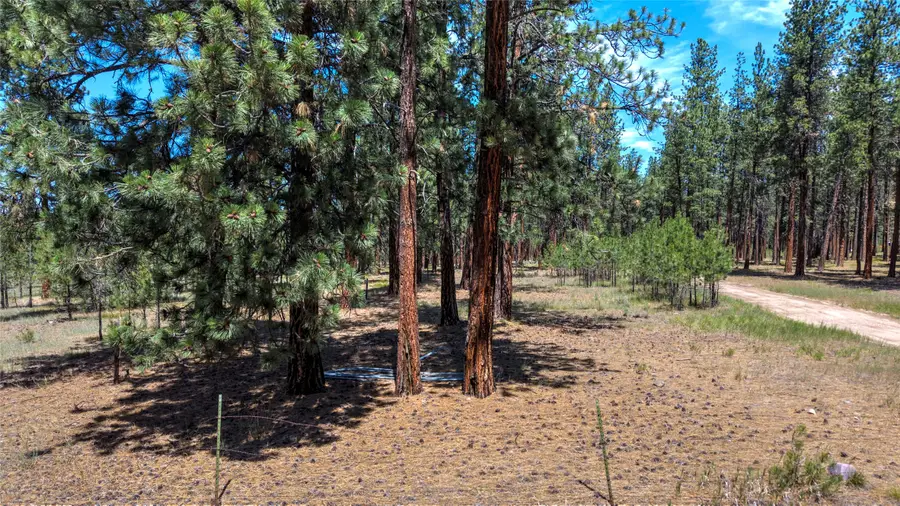 1120 Hole In The Wall Road, Bonner, MT 59823 - Image #3