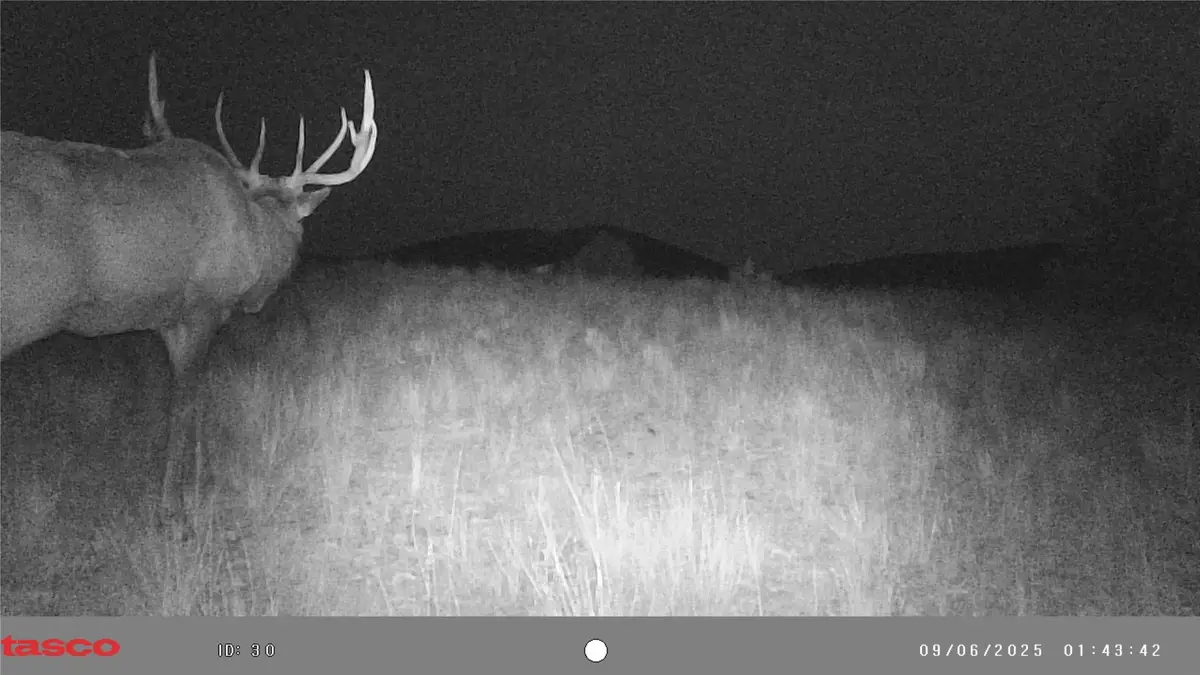 TBD Keating Gulch Road, Radersburg, MT 59641 - Image #1