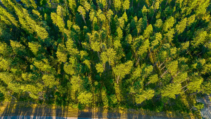 1323 Whitefish Village Drive, Whitefish, MT 59937 - Image #3