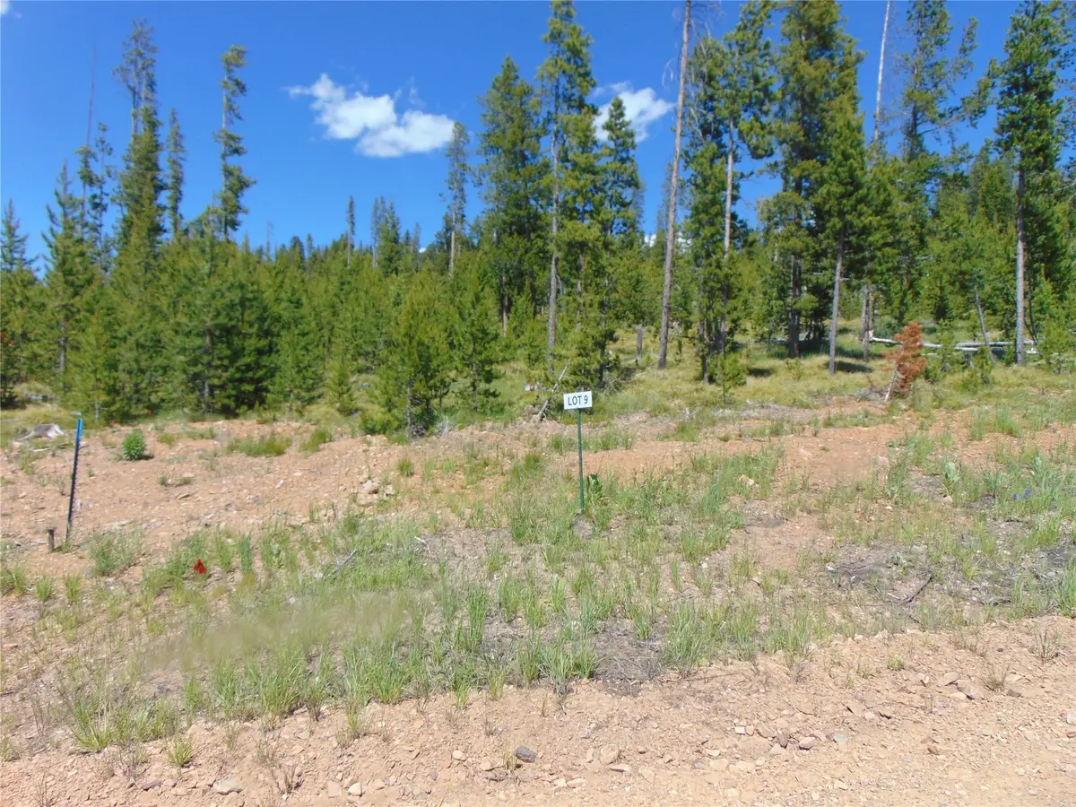 Nhn Covellite Lane #Lot 9, Anaconda, MT 59711 - Image #1