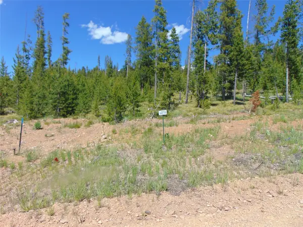 Nhn Covellite Lane #Lot 9, Anaconda, MT 59711
