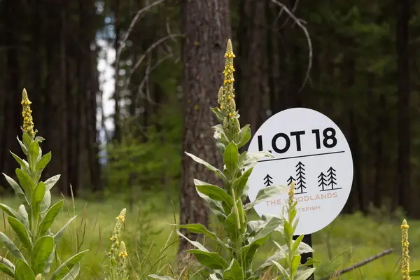 142 Rosewood Lane #Lot 18, Whitefish, MT 59937