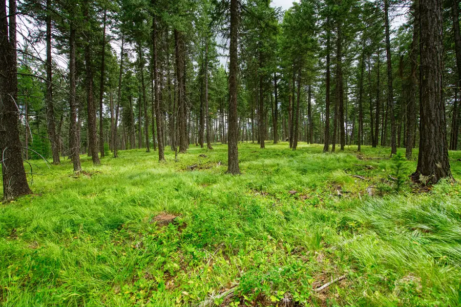 142 Rosewood Lane #Lot 18, Whitefish, MT 59937 - Image #3