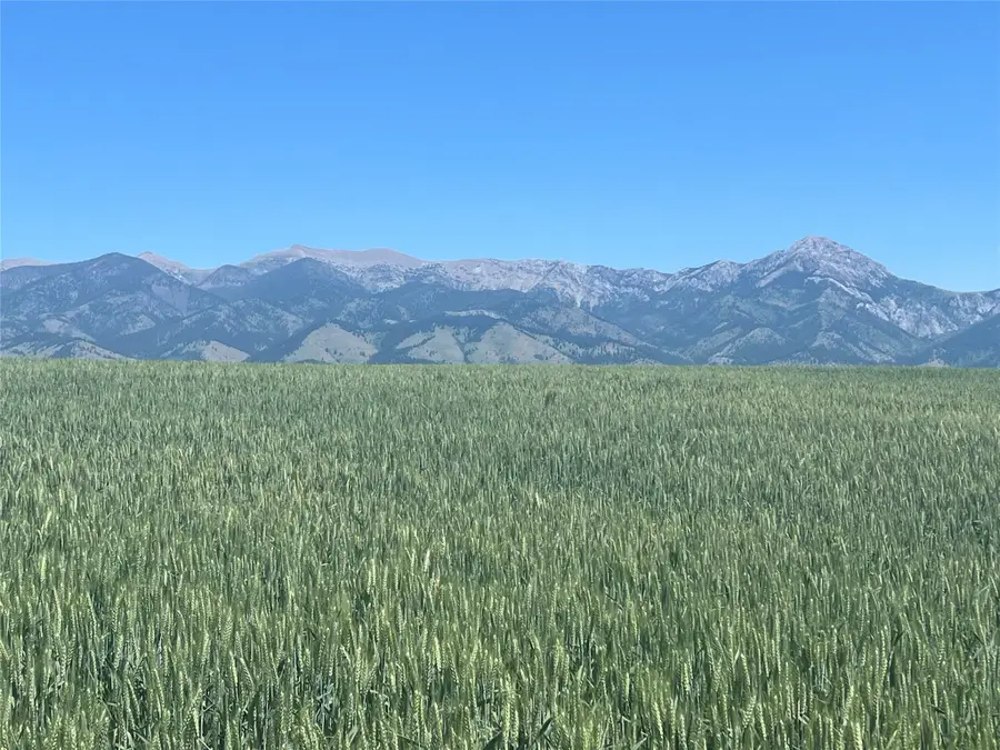 Lot 3 Penwell Bridge Road, Belgrade, MT 59714 - Image #2