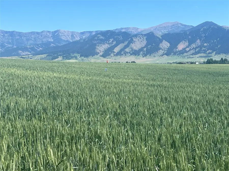 Lot 3 Penwell Bridge Road, Belgrade, MT 59714 - Image #3