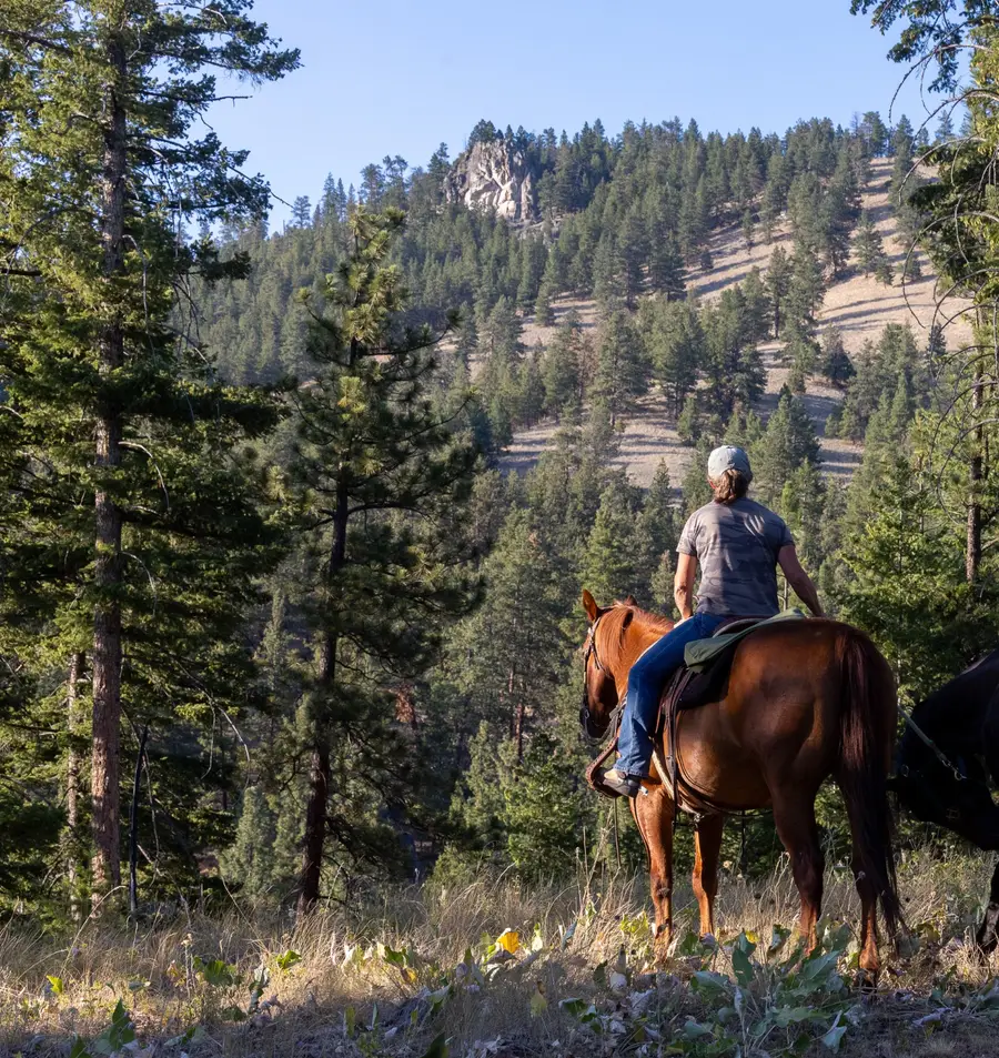 Bitterroot Highlands At Willow Creek - Nhn Willow Creek Rd, Corvallis, MT 59828 - Image #2