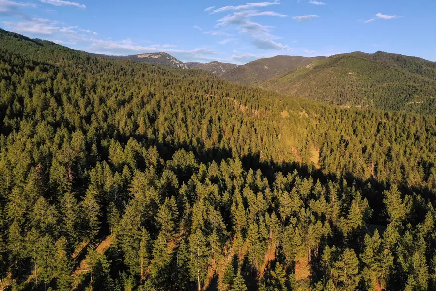 Bitterroot Highlands At Willow Creek - Nhn Willow Creek Rd, Corvallis, MT 59828 - Image #3