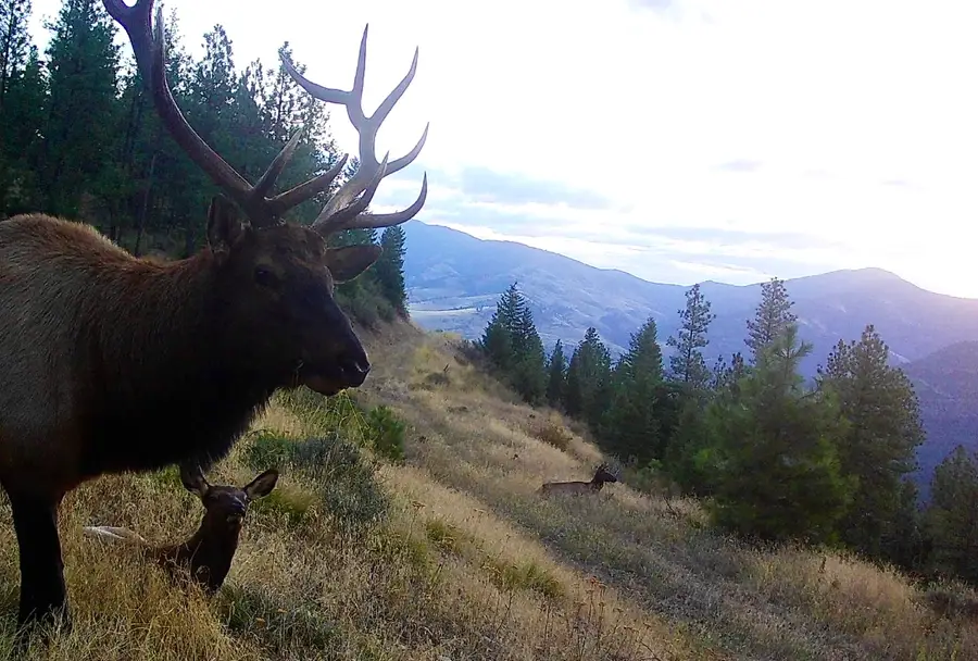 TBD Tbd, Plains, MT 59859 - Image #2