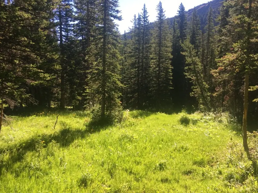 TBD Trapper Creek Road, Melrose, MT 59743 - Image #3