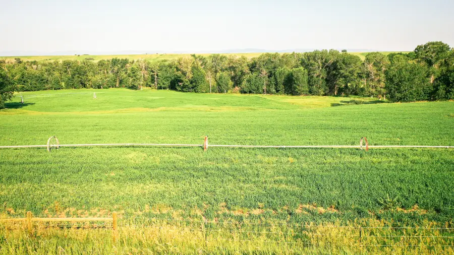 NHN Shields River Road, Wilsall, MT 59086 - Image #3