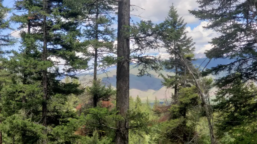 Lot 20 Arlee Pines, Arlee, MT 59821 - Image #3