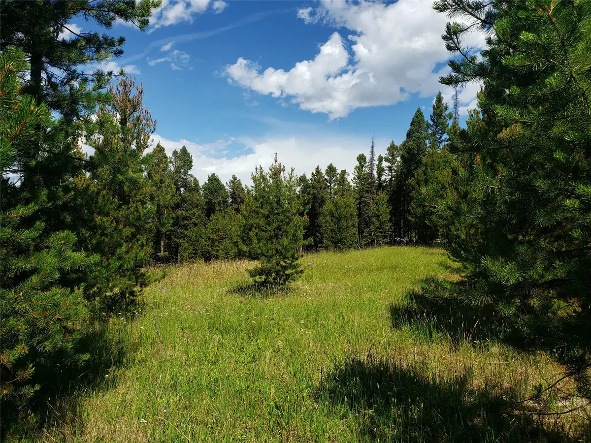 Lot 98 Foxwood Road, Helmville, MT 59843 - Image #1