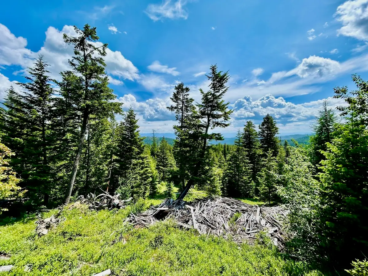 NHN Mcmannamy Draw, Kalispell, MT 59901 - Image #1