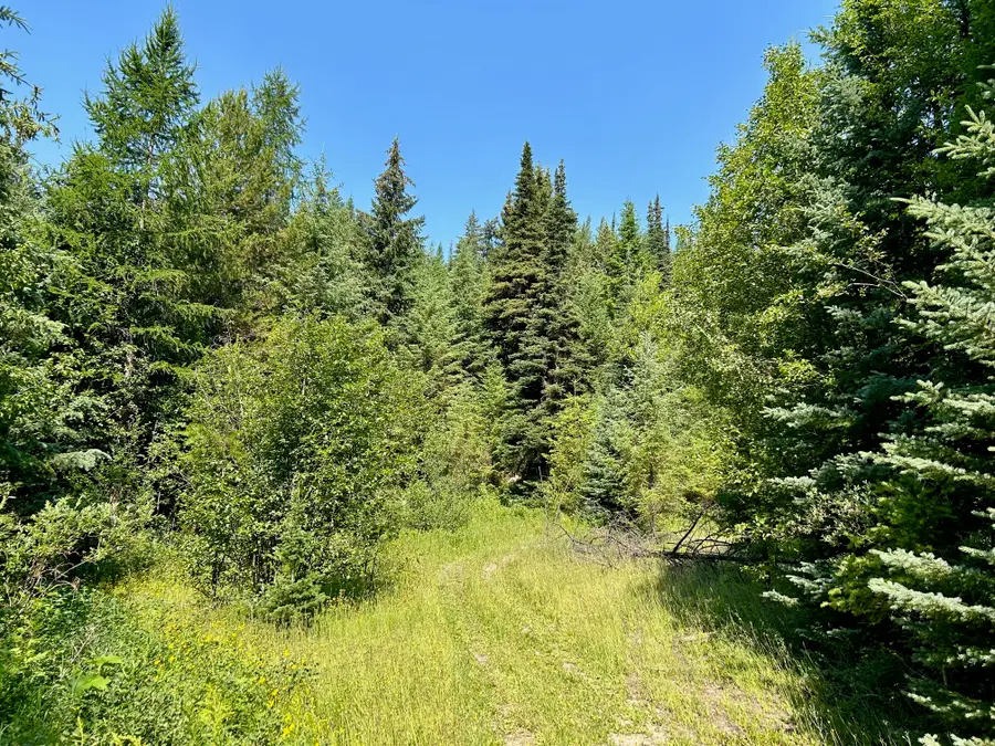 NHN Mcmannamy Draw, Kalispell, MT 59901 - Image #2