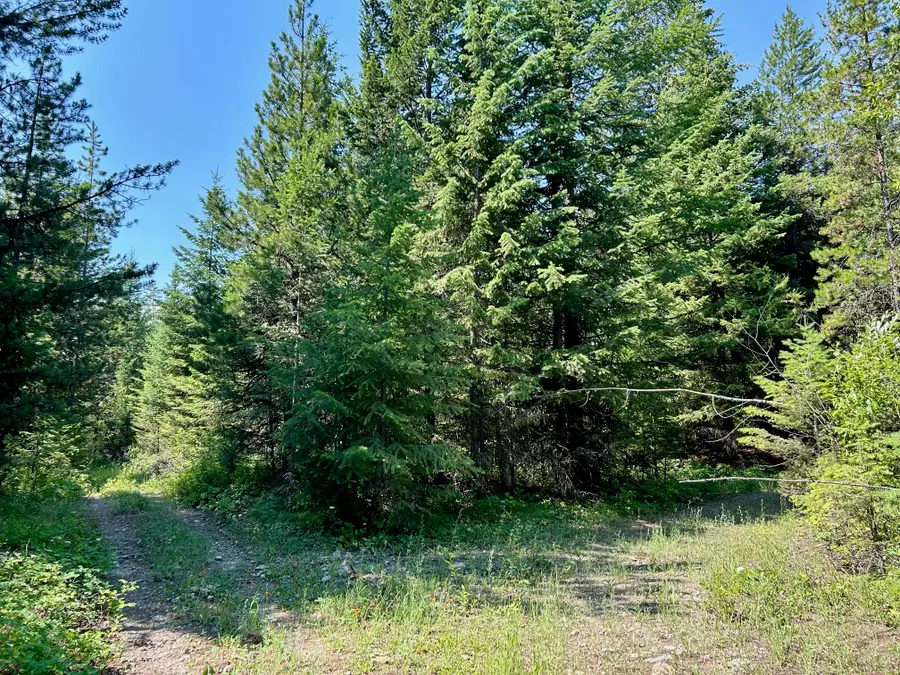 NHN Mcmannamy Draw, Kalispell, MT 59901 - Image #3